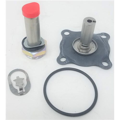 Asco Rebuild kit