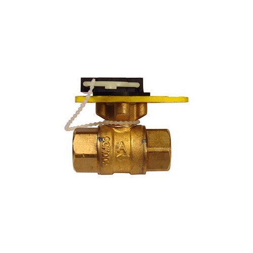 Ball Valve Body 1.25in 36.5Cv