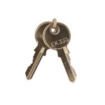 set of 2 spare keys for key latched meta